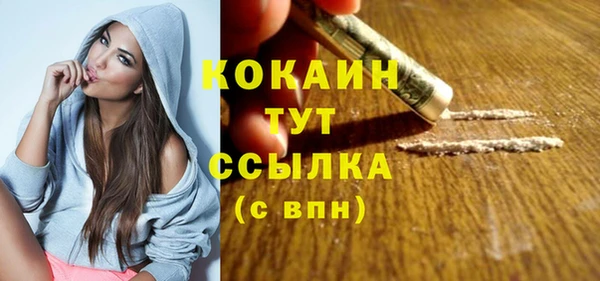 гидра Мегион