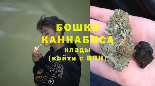 гидра Мегион